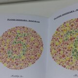 Testul culorilor Ishihara